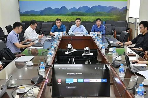 Nông sản Việt Nam vào EU đối mặt tiêu chuẩn, quy định mới