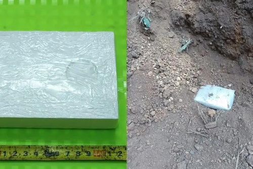 Chôn ma túy trong vườn vẫn không qua mắt được cơ quan chức năng