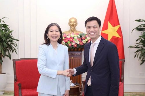 Thứ trưởng Đặng Hoàng Giang làm việc với Điều phối viên thường trú Liên hợp quốc tại Việt Nam Pauline Tamesis
