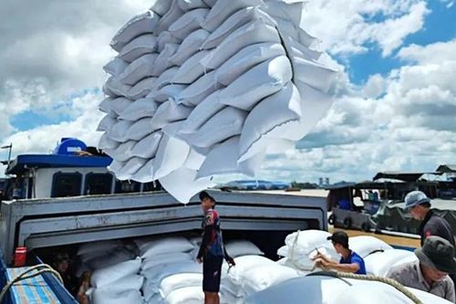 Tin tức kinh tế ngày 25/3: Xuất khẩu gạo đạt khoảng 1,74 triệu tấn