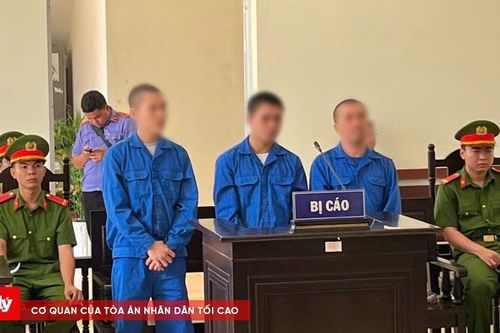 Rủ bạn góp tiền mua ma túy, 3 bị cáo lĩnh án