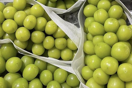 Việt Nam mua nhiều nho của Trung Quốc nhất, có loại bán ra chỉ 20.000-30.000 đồng/kg