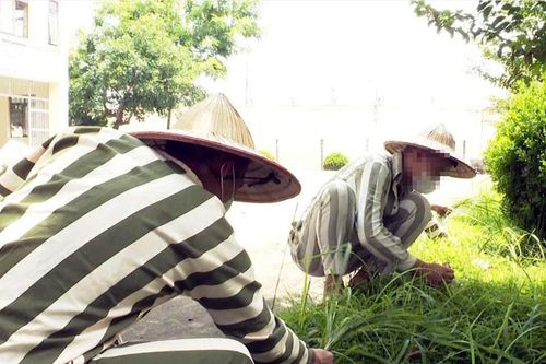 Bộ Quốc phòng đề xuất phạm nhân được gọi video miễn phí với người thân