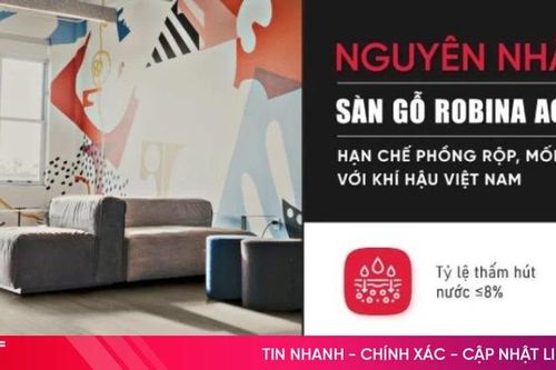 Làm sao để sàn gỗ không bị phồng rộp, mối mọt ở khí hậu Việt Nam?