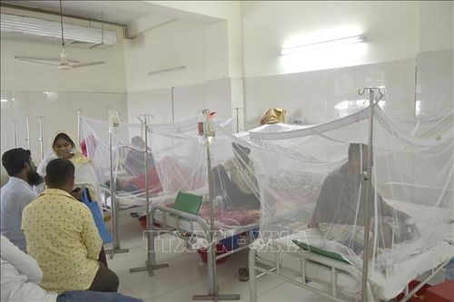 'Giải mã' thách thức trong phòng ngừa dịch sốt xuất huyết