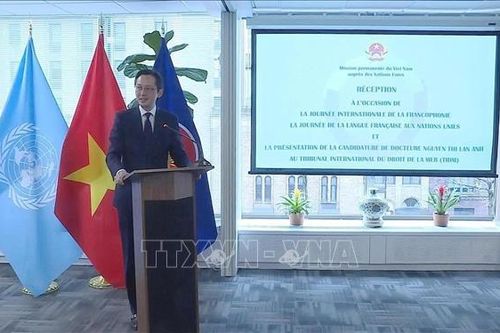 Việt Nam tích cực đóng góp cho hợp tác và thúc đẩy đoàn kết trong cộng đồng Pháp ngữ