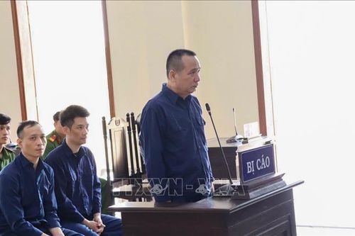 Bốn cựu cán bộ Công ty Xây dựng hạ tầng khu công nghiệp Cần Thơ lĩnh án