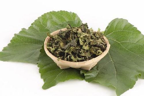 Đừng chỉ ăn quả, lá cây này quý như 'nhân sâm của người nghèo', đang vào mùa đi chợ là thấy