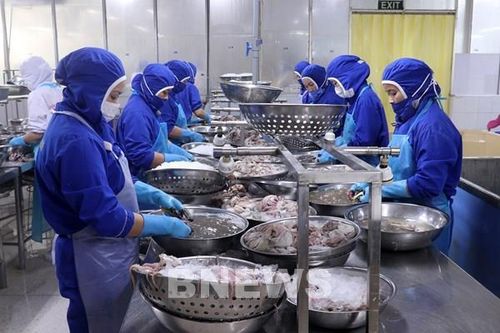 An Giang tăng tốc thành trung tâm kinh tế ĐBSCL