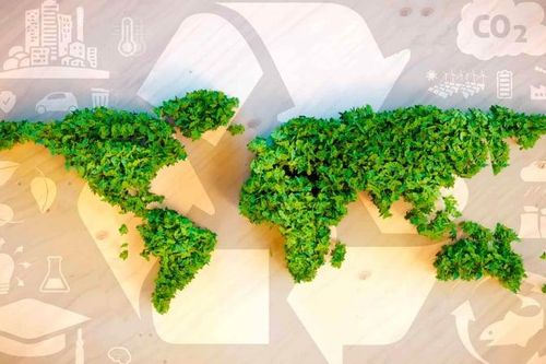Thiết kế sinh thái là gì? Bí quyết đáp ứng thị trường EU