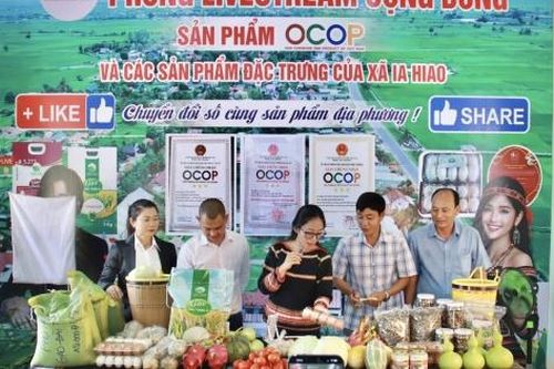 Gia Lai: Lãnh đạo xã lên sóng bán nông sản, gây quỹ cho 1.000 học sinh