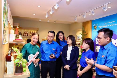 Thanh niên Công Thương vững bước trên mặt trận kinh tế