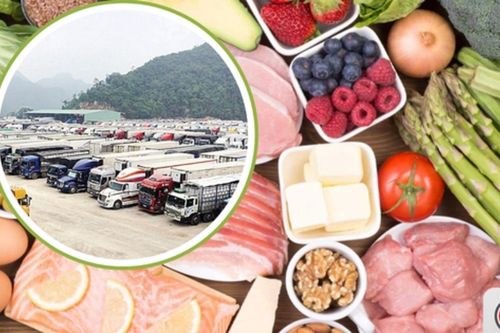 Xây dựng nghị quyết mới về tạm ngưng Nghị định 46 và Nghị quyết 66.13