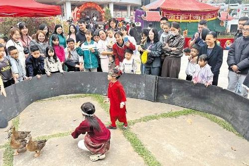 Thú chơi xuân giữ hồn văn hóa