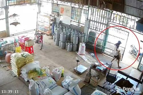 Bắt giữ đối tượng liên tục trộm cắp nông sản của người dân