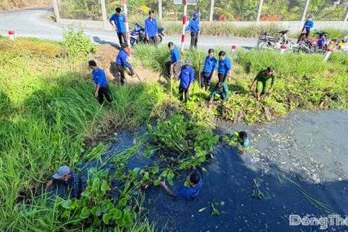 Khi màu áo xanh lan tỏa ở Long Bình