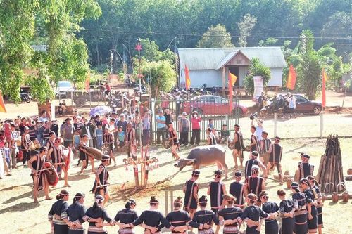 Phục dựng 'Lễ mừng chiến thắng' của người Jrai tại làng Bẹk vào ngày 31-3