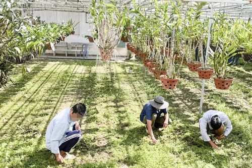 Kỷ niệm 10 năm Ngày Công tác xã hội Việt Nam (25-3-2016 - 25-3-2026): Điểm tựa cho bệnh nhân tâm thần