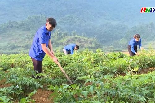 TUỔI TRẺ LAI CHÂU TIÊN PHONG, XUNG KÍCH VÌ QUÊ HƯƠNG GIÀU ĐẸP