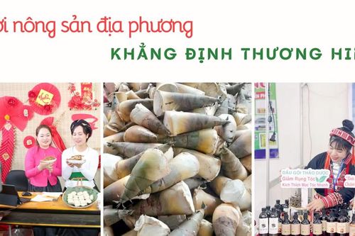 Nơi nông sản địa phương khẳng định thương hiệu