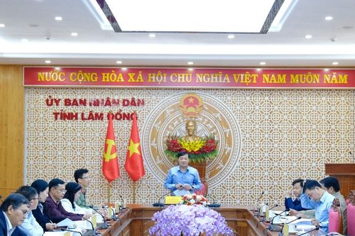 Lâm Đồng tháo gỡ vướng mắc, thúc đẩy triển khai các dự án trọng điểm của Tập đoàn TH