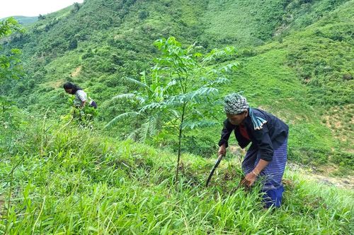 Trao 'cần câu' bằng tri thức
