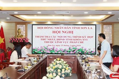 Thẩm tra các nội dung trình Kỳ họp thứ nhất, HĐND tỉnh khóa XVI thuộc lĩnh vực pháp chế