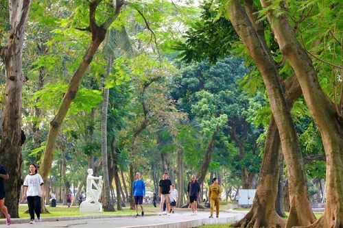 Từ những công viên không hàng rào
