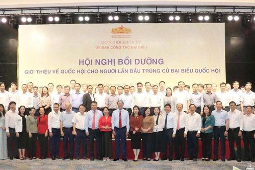 Đại biểu Quốc hội phải tranh luận, giám sát đi đến cùng vấn đề