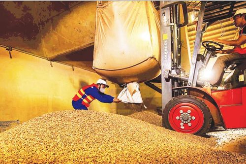 Doanh nghiệp Việt trước 'luật chơi' xanh