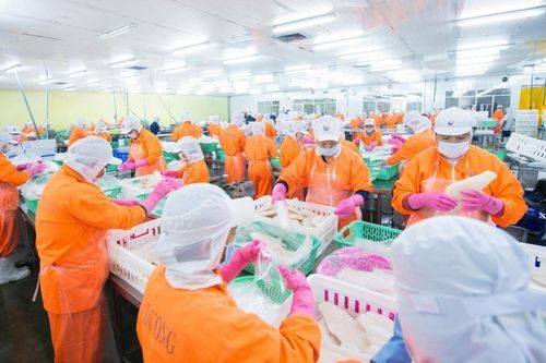 Phó Tổng giám đốc Navico muốn gom thêm một triệu cổ phiếu ANV