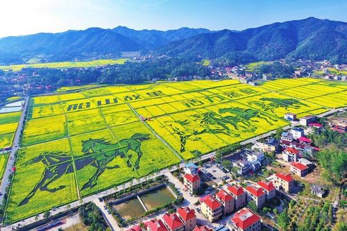 Du lịch 'săn' hoa mùa xuân góp phần bùng nổ kinh tế Trung Quốc