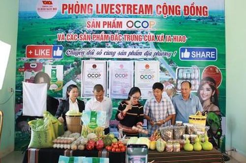 Lãnh đạo xã livestream bán nông sản gây quỹ khuyến học