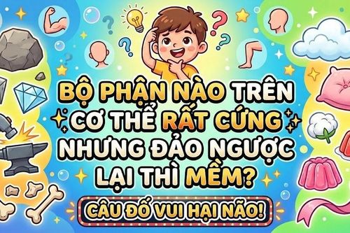 Bộ phận nào trên cơ thể rất cứng nhưng đảo ngược lại thì mềm?