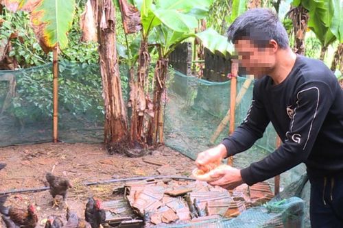 Giấc mơ đổi đời khép lại trong cay đắng và nợ nần