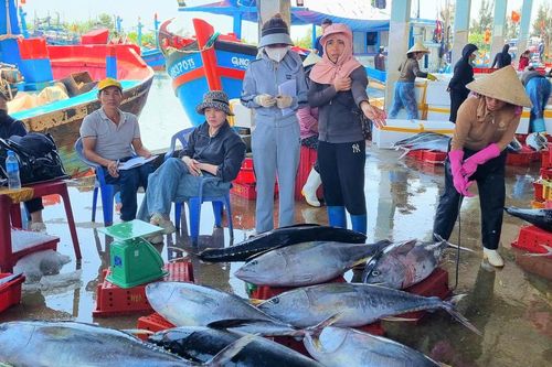 Những khoang thuyền đầy cá giữa 'sóng gió' chi phí