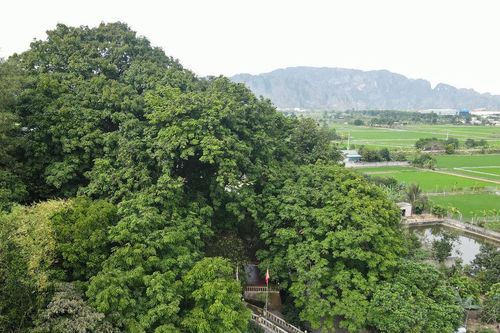 Những đoàn viên tiêu biểu ở Quảng Trị