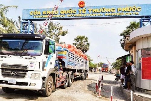 Xây dựng nghị quyết mới tạm ngưng hiệu lực Nghị định 46 và Nghị quyết 66.13 về an toàn thực phẩm