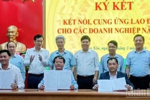 Hưng Yên tìm giải pháp căn cơ giải bài toán thiếu hụt lao động