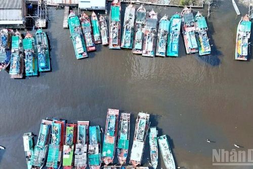 Cà Mau: Tìm giải pháp gỡ khó cho các tàu cá nằm bờ vì 'bão giá' nhiên liệu