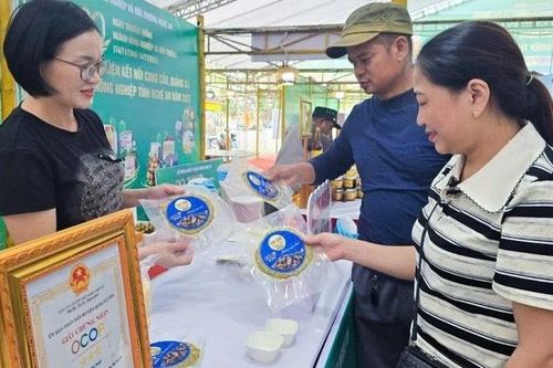 Người phụ nữ xứ Nghệ với hành trình đánh thức 'hồn quê' từ món chả dam OCOP