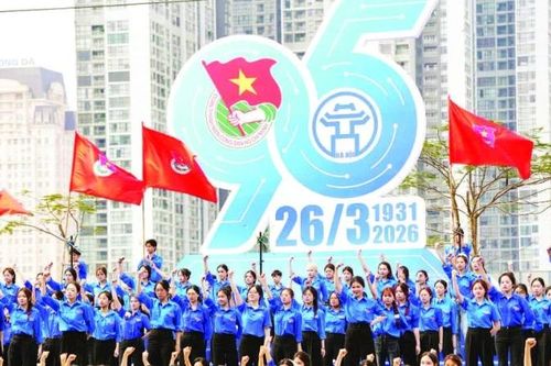 Phát huy vai trò xung kích, sáng tạo của thanh niên