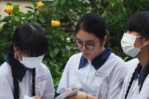 TPHCM: Tuyển sinh đầu cấp năm học 2026-2027 theo hình thức trực tuyến