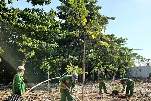 100% hộ dân đồng thuận bàn giao mặt bằng ở Khu đô thị mới Thủ Thiêm