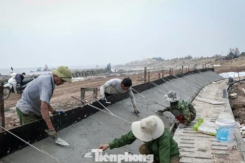 Chạy nước rút dự án 500 tỷ xử lý sạt lở đê biển ở Ninh Bình