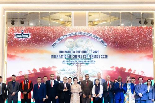 Liên minh Càphê Toàn cầu: Hành trình kiến tạo tương lai bền vững cho ngành càphê