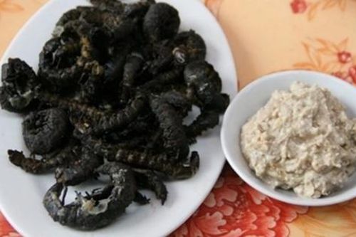 Con vật nhìn 'sợ phát khóc' ở Tây Bắc xưa không ai ngó, nay thành món lạ, dân nhậu săn lùng