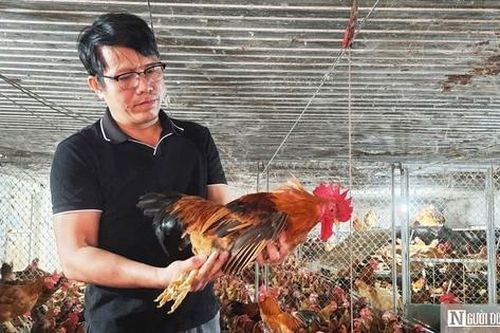 Lương vài chục triệu, bác sĩ thú y vẫn bỏ việc về mở trang trại thu gần 9 tỷ mỗi năm