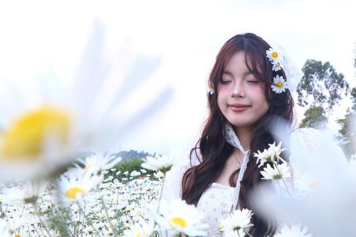 Cúc họa mi nở giữa phố biển, 'ươm' sinh kế cho phụ nữ Đà Nẵng