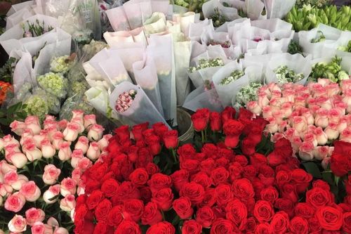 Lỗ hổng trong quản lý rác thải nhựa từ hoa tươi